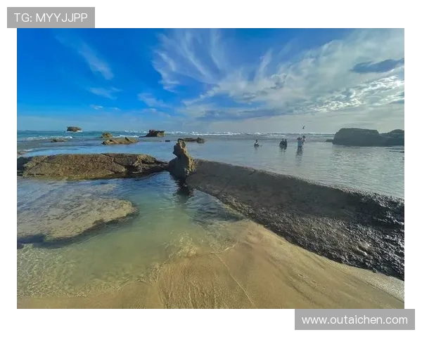 跳水运动的魅力与挑战:探索技术、艺术与心理的完美融合 跳水运动的魅力与挑战:探索技术、艺术与心理的完美融合