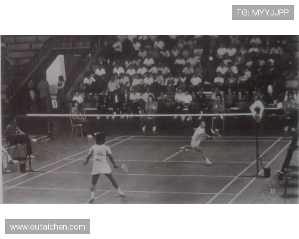 广州羽毛球队的比赛经验分享与成长之路探讨